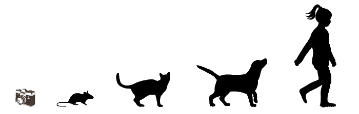 niinaphoto-privacy- policy