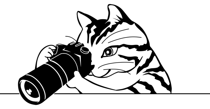 niinaphoto-privacypolicy